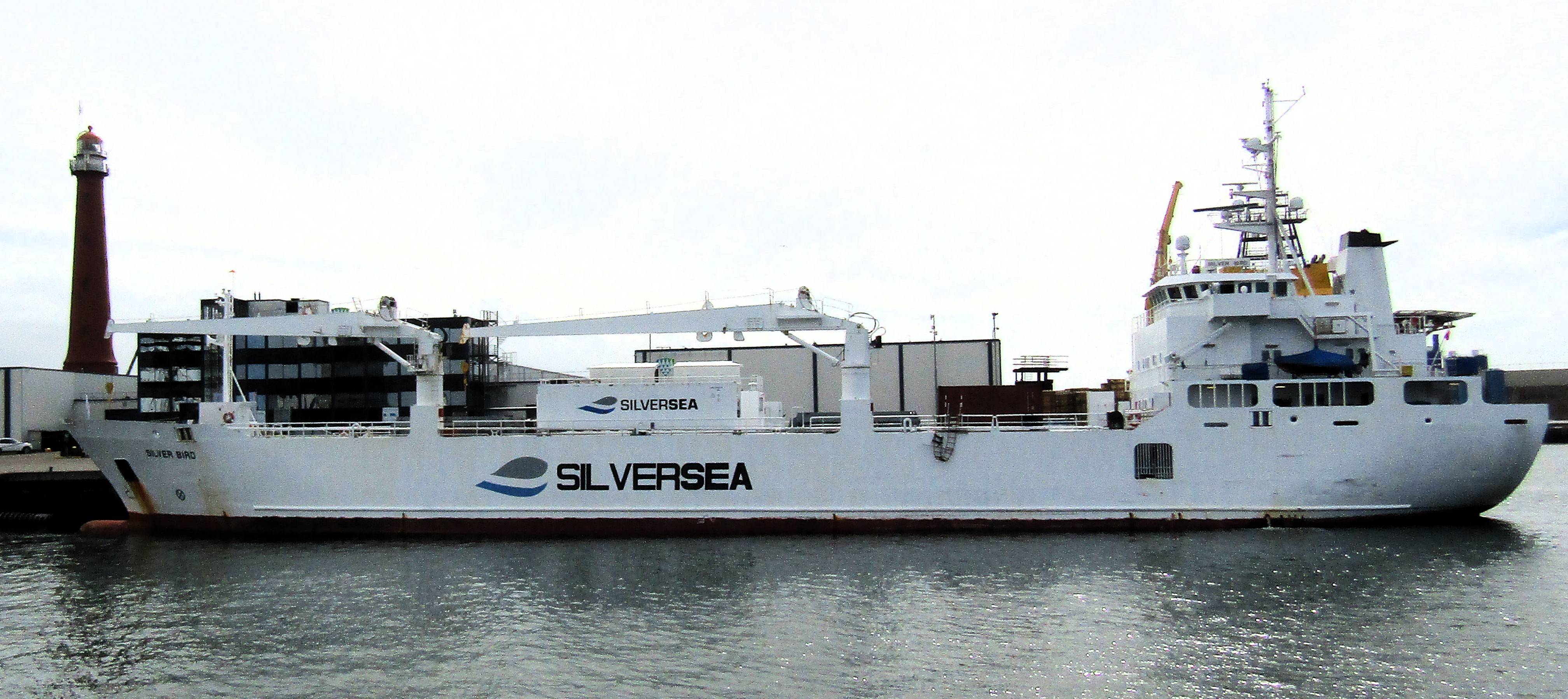 SILVER BIRD 